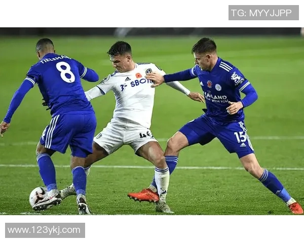 布城与赫尔城的精彩对决分析及赛季前景展望 布城与赫尔城的精彩对决分析及赛季前景展望