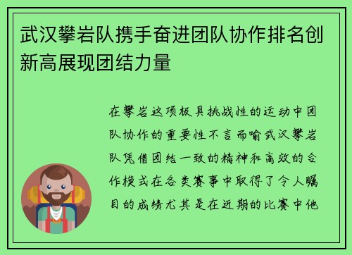 武汉攀岩队携手奋进团队协作排名创新高展现团结力量