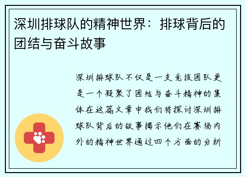 深圳排球队的精神世界：排球背后的团结与奋斗故事